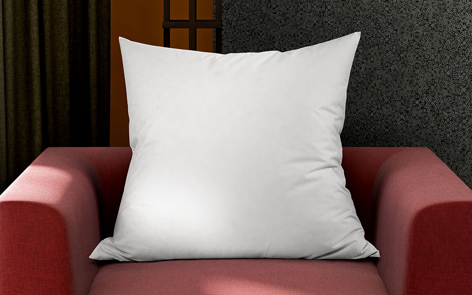 Euro Pillow